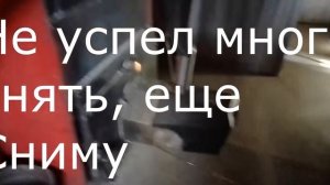 Пилетная горелка по просьбе/ Замена газа и дров