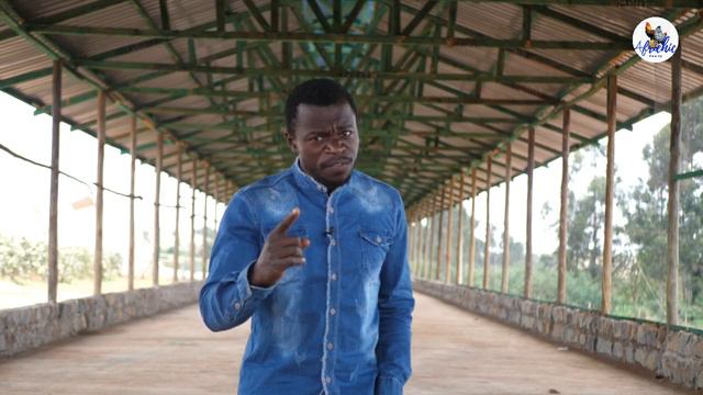 How To Maximize Profits in Chicken Farming