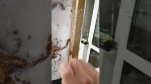 ЭТО ОЧЕНЬ ЛЕГКО И ПРОСТО!!! Декорируем раму зеркала золотой поталью. Часть 1.