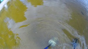 ТЕСТ: NEL SHARPSHOOTER GARRETT ATPRO ПОРВАЛА ШТАТНУЮ КАТУШКУ