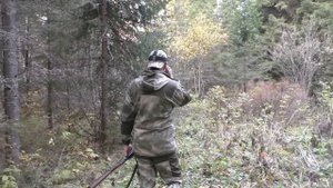 Одно сплошное удовольствие! Охота с манком.
