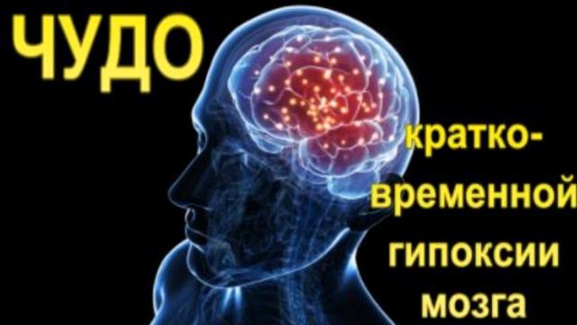 Как убрать агрессивное поведение у своей собаки.