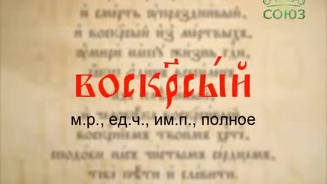85. Буква в духе. Полные и краткие действительные причастия прошедшего времени смотреть онлайн