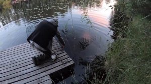 Ловить рыбу на морду, в Финляндии, у меня на озере