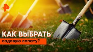 Как выбрать садовую лопату? — Самая полезная программа