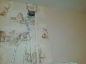 Cables