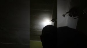 пять ночей с плюшевыми игрушками 2 ночь озвучка для анонимуса 123 ночь 3