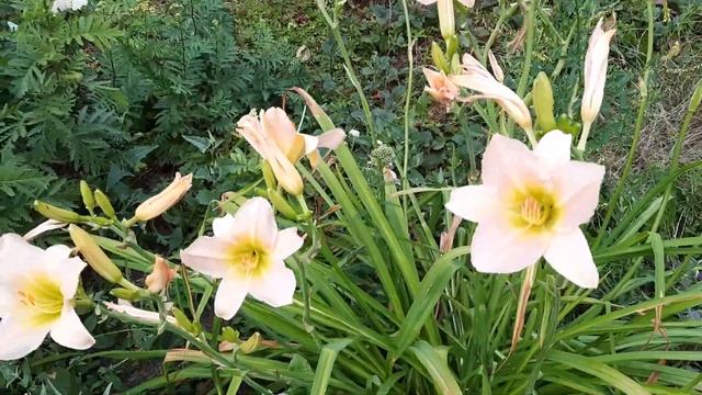 Материализация часть 2 смотреть онлайн