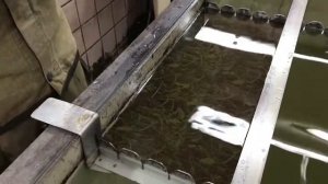 Камуфлирование оружия. Аквапринт ружья (приклад и цивье) текстура - камуфляж под камыш