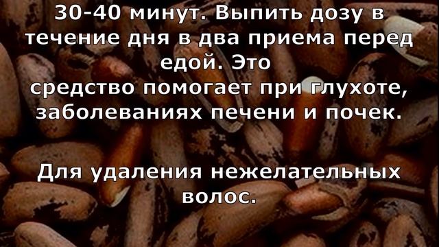 Кедр и кедровые орешки кладезь народной медицины