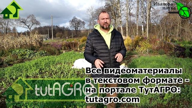 ОПИЛКИ ДЛЯ КАРТОФЕЛЯ. Опыт северных огородников выращивания урожая картофеля без болезней БЕЗ ХИМИИ