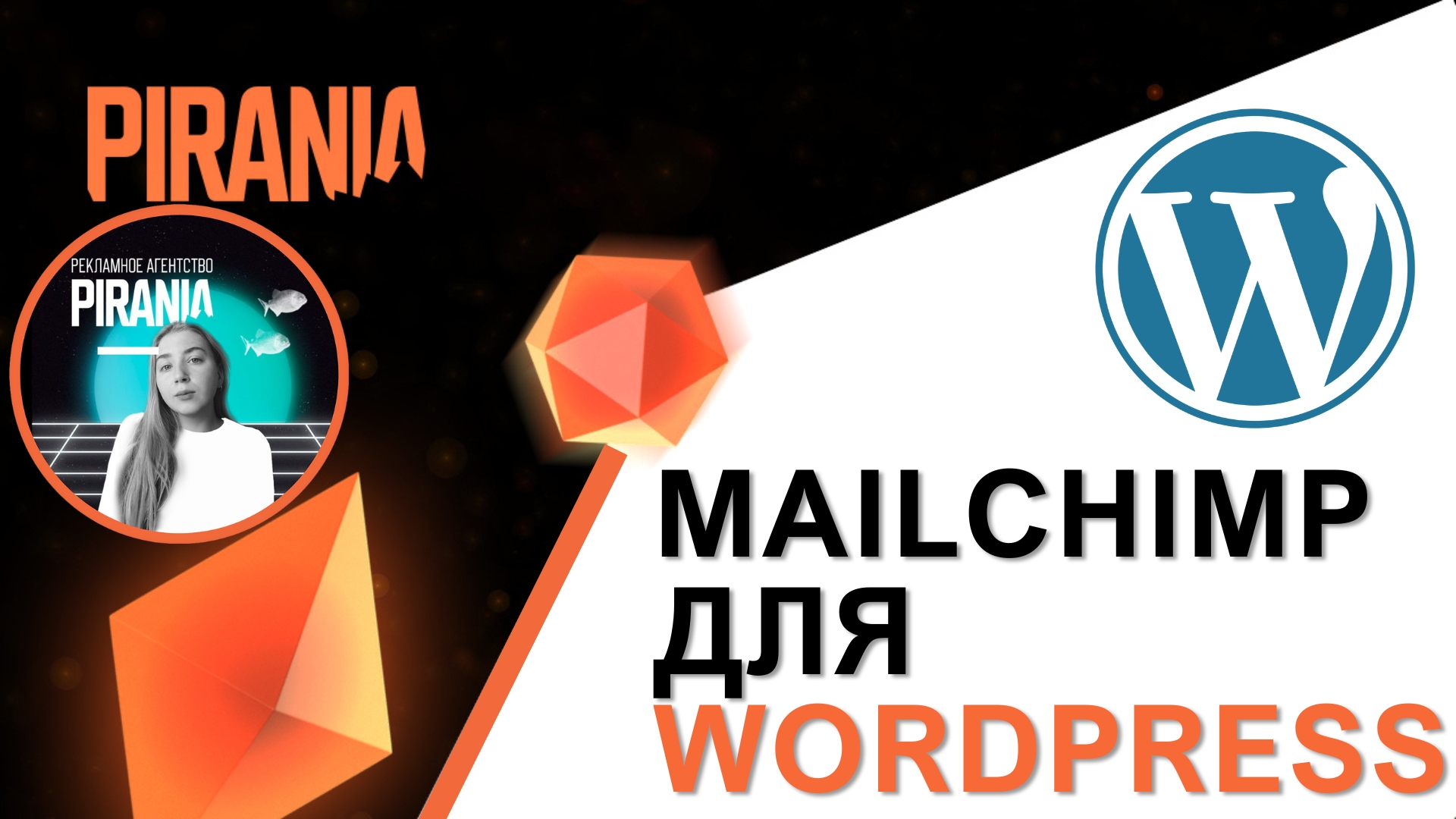 Использование Mailchimp для WordPress