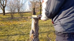 WORX WG324E cordless chainsaw# Elektryczna piła do przycinania