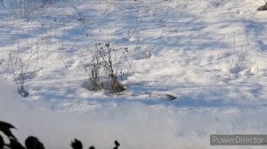 С Рождеством! Морозы бьют рекорды ❄️ День рождения бабушки!