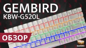 ОБЗОР GEMBIRD KBW-G520L | БЕСПРОВОДНАЯ ИГРОВАЯ КЛАВИАТУРА С ПОДСВЕТКОЙ