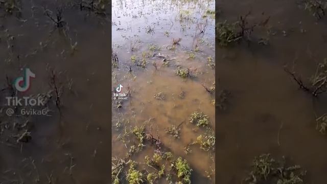 Рыбалка в Каневском районе, Переезд на Юг