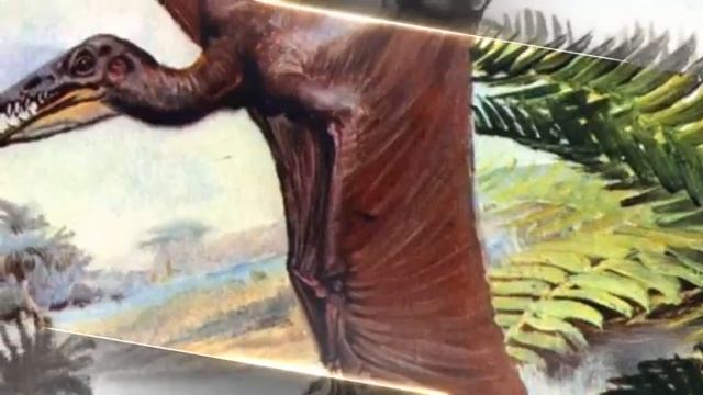 ПТЕРОДАКТИЛЬ - ЛЕТАЮЩИЙ ЯЩЕР ЭПОХИ ДИНОЗАВРОВ смотреть онлайн