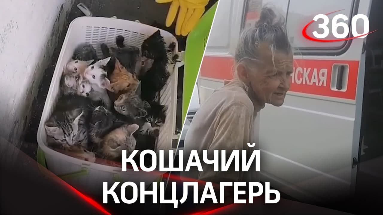 Бабушка варила котят, чтобы прокормить других. Шкурки животных она сушила на балконе