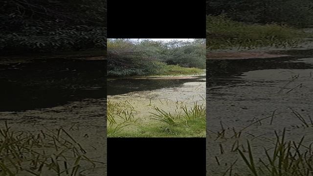 На рыбалке на таёжной сказочной речке