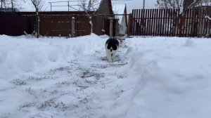 Первый снег А ну-ка Давай-ка минус @anykadavaika