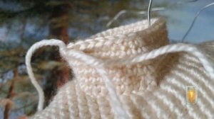 Сфинкс.  Вязание крючком