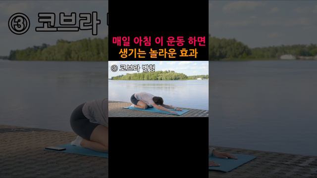 매일 아침 이 운동 하면 생기는 놀라운 효과