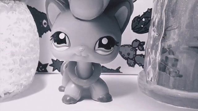 |LPS|: Почему мне нравятся LPS?❤️ Немного о себе) О подписчиках?