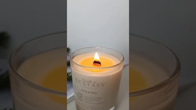 Как горят и трещат деревянные фитили Candle of ECSTASY ? Включайте звук