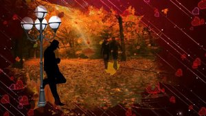 Владимир Ждамиров А я несу тебе цветы