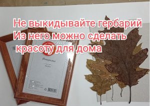 Не выкидывайте гербарий. Из него можно сделать стильное украшение для дома