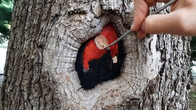 ГНОМ |Рисунок на дереве в парке?Street art✌ смотреть онлайн