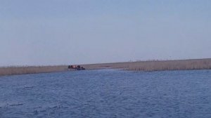 Сети на леща 1