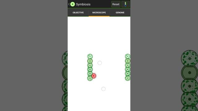 Cell Lab: Symbiosis walkthrough - updated + annotations - basic mechanics of solution