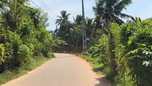 Шри-Ланка 2024.  Мирисса. Начало наших путешествий. ☺️#srilanka #путешествия