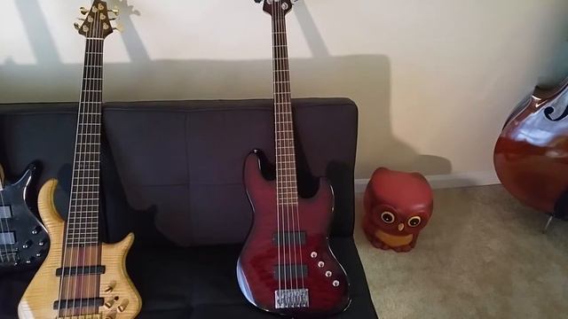 Bass Collection: Ibanez Schecter and Warrior