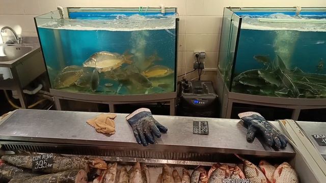 Сенной рынок. Рыбный отдел. смотреть онлайн