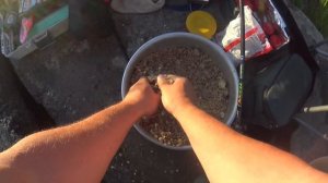 Рыбалка на канале им Москвы, деревня Жостово, Жостовский залив, Московская область. Фидер