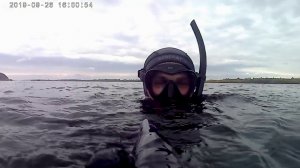 Дневная разминка