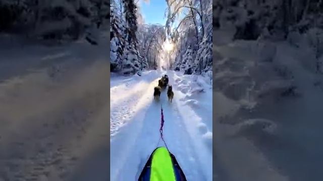 Тренировка 20км в - 20? смотреть онлайн