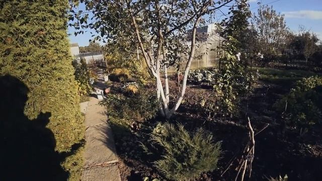 8 октября. День чудесный. Любимый сад смотреть онлайн