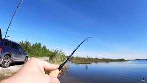 Рыбалка+Копчение окуня I Crazy Fish Perfect JIG 76 UL SS