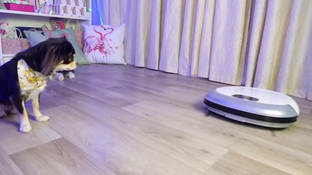 самый лучший робот пылесос смотреть онлайн