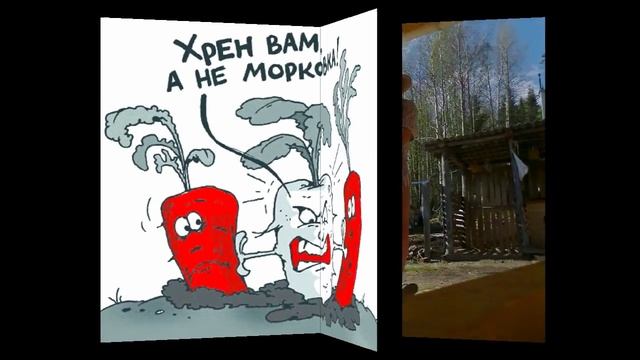 ДачникАх,огурчики,помидорчики смотреть онлайн