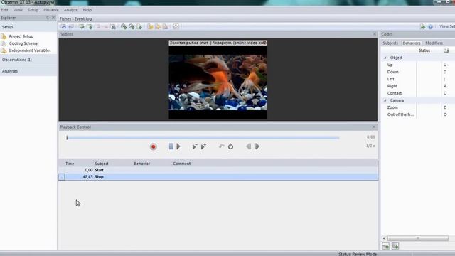 Observer - кодировочная схема. Инструкция (Tutorial) смотреть онлайн