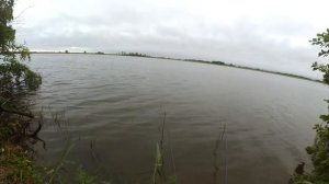 Рыбалка удочками. Ловим хорошего карася на Прядчино в июле 2019.