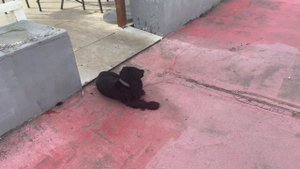 Лето в октябре. Адлер ?