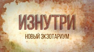 Изнутри - Экзотариум.mp4