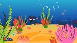 Police Shark vs Flying Shark | Videos for kids Songs