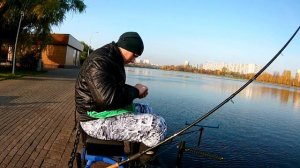 Осенняя рыбалка в Братеево на фидер