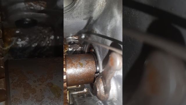 Goldoni Jolly junior, КПП смотреть онлайн